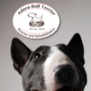Adora-Bull Rescue and Rehabilitation