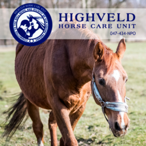 Highveld Horse Care Unit (HHCU)