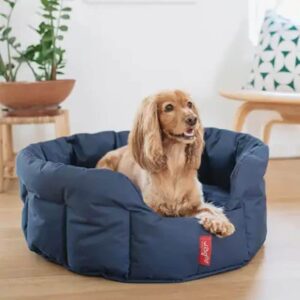 Dog Wear | Beds | Accessories